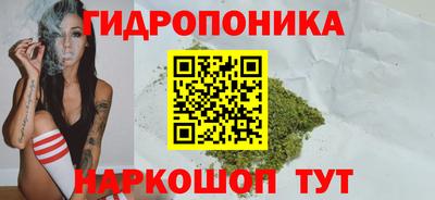 сатива Ирбит