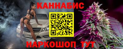 МДПВ Канаш