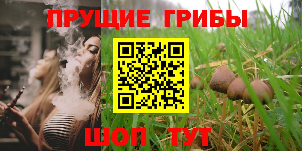 Псилоцибиновые грибы Psilocybine cubensis Ленинск-Кузнецкий